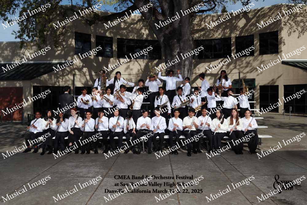 Musical Images